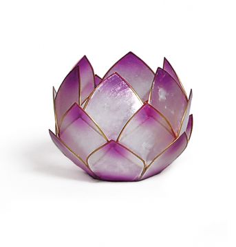 Lotus-Licht Abendd�mmerung lavendel