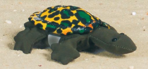 Sandtier - Schildkröte