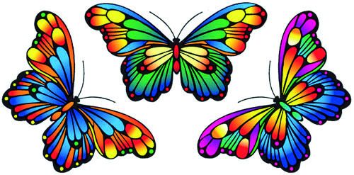 Fensterbild 3 Magic Butterflies