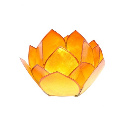 Lotus-Licht Abendsonne gelb-orange