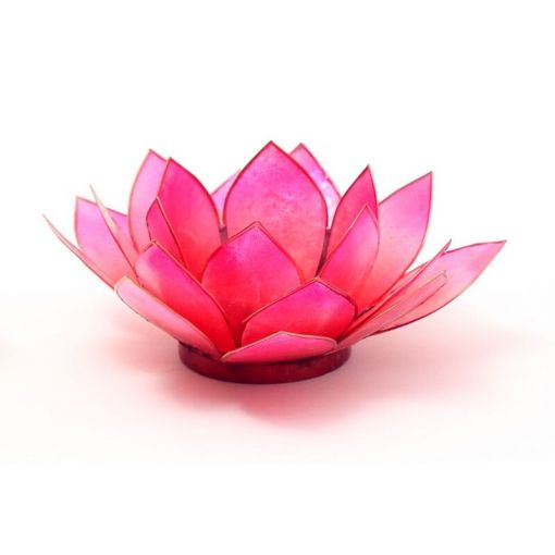 Lotus-Licht Sommersonne coralpink