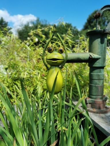 Five Oaks Yoga Frosch/Yoga Frog - Der Baum/ Gartenstecker klein