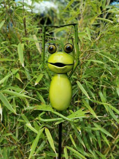 Five Oaks Yoga Frosch/Yoga Frog - Der Lotus Stretch/ Gartenstecker klein