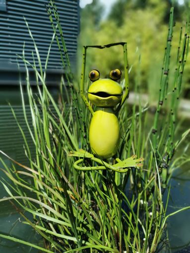 Five Oaks Yoga Frosch/Yoga Frog - Der Lotus Stretch/ Gartenstecker klein