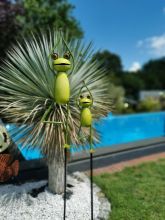 Five Oaks Yoga Frosch/Yoga Frog - Der Baum/ Gartenstecker gro