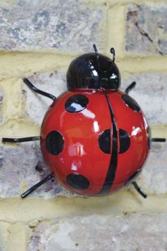 Five Oaks WallArt - Ladybird, Marienkäfer groß